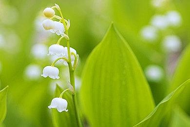 《孤胆枪手2：新纪元》上架Steam 6月15日发售、不支持中文